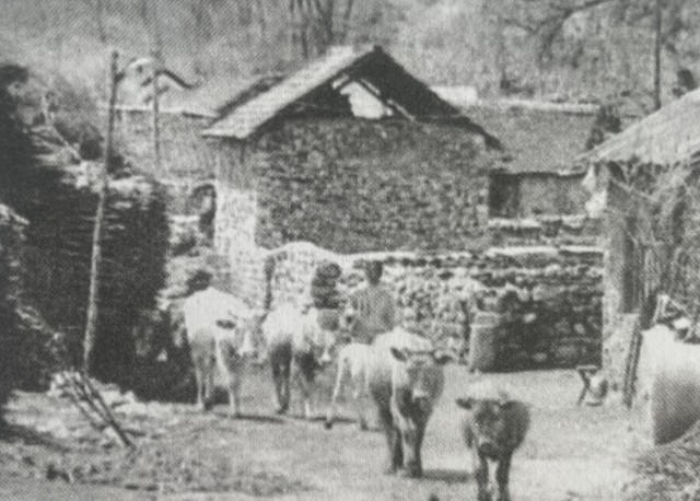 1537223353122648.jpg 1931年10月,邓铁梅在岫岩小汤沟顾家堡子正式成立东北民众自卫军。.jpg