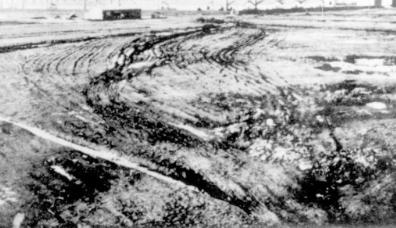 1045104978152918.png 3.png