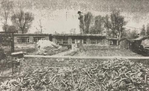 1604036197434307.png 3.png