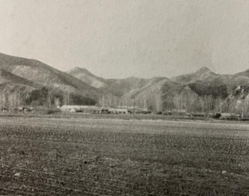 1608123501277952.png 3.png