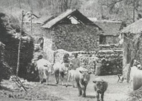 1021092752727852.png 1.png