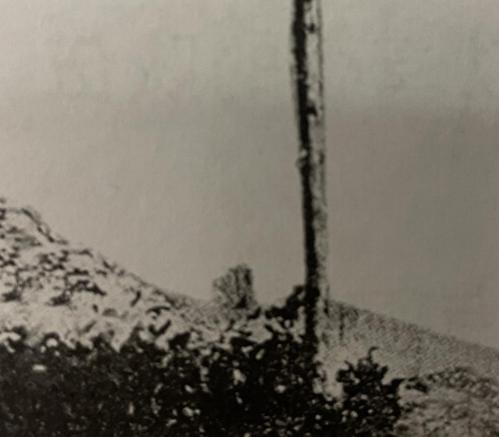 1024325390984431.png 2.png