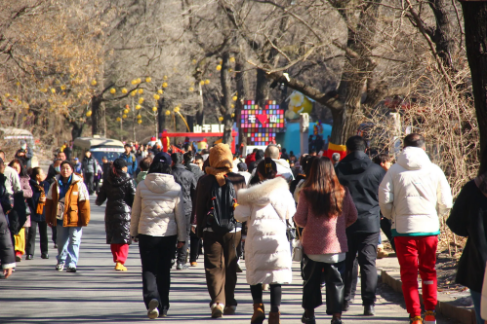 2213025195759810.png 8.png