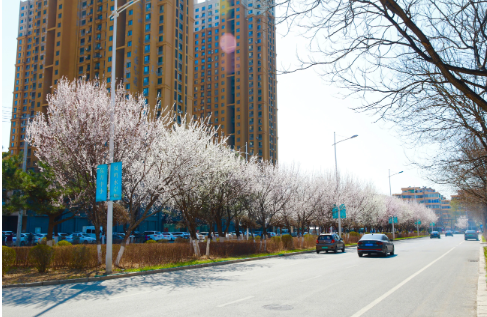 1320185037005655.png 1.png